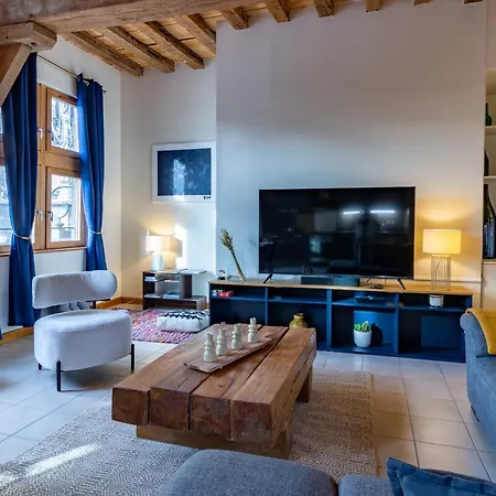 Balthazar, Parking Gratuit, Vue Privilegiee Sur La Cathedrale, Wifi Hd, Centre-ville De Apartment Troyes