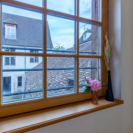 Balthazar, Parking Gratuit, Vue Privilegiee Sur La Cathedrale, Wifi Hd, Centre-ville De Апартаменты *